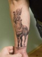 /album/galeria-tattoo/centaur-woman-tattoo-franciak-jpg/